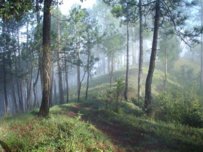 New Dolma Almora Ngoại thất bức ảnh
